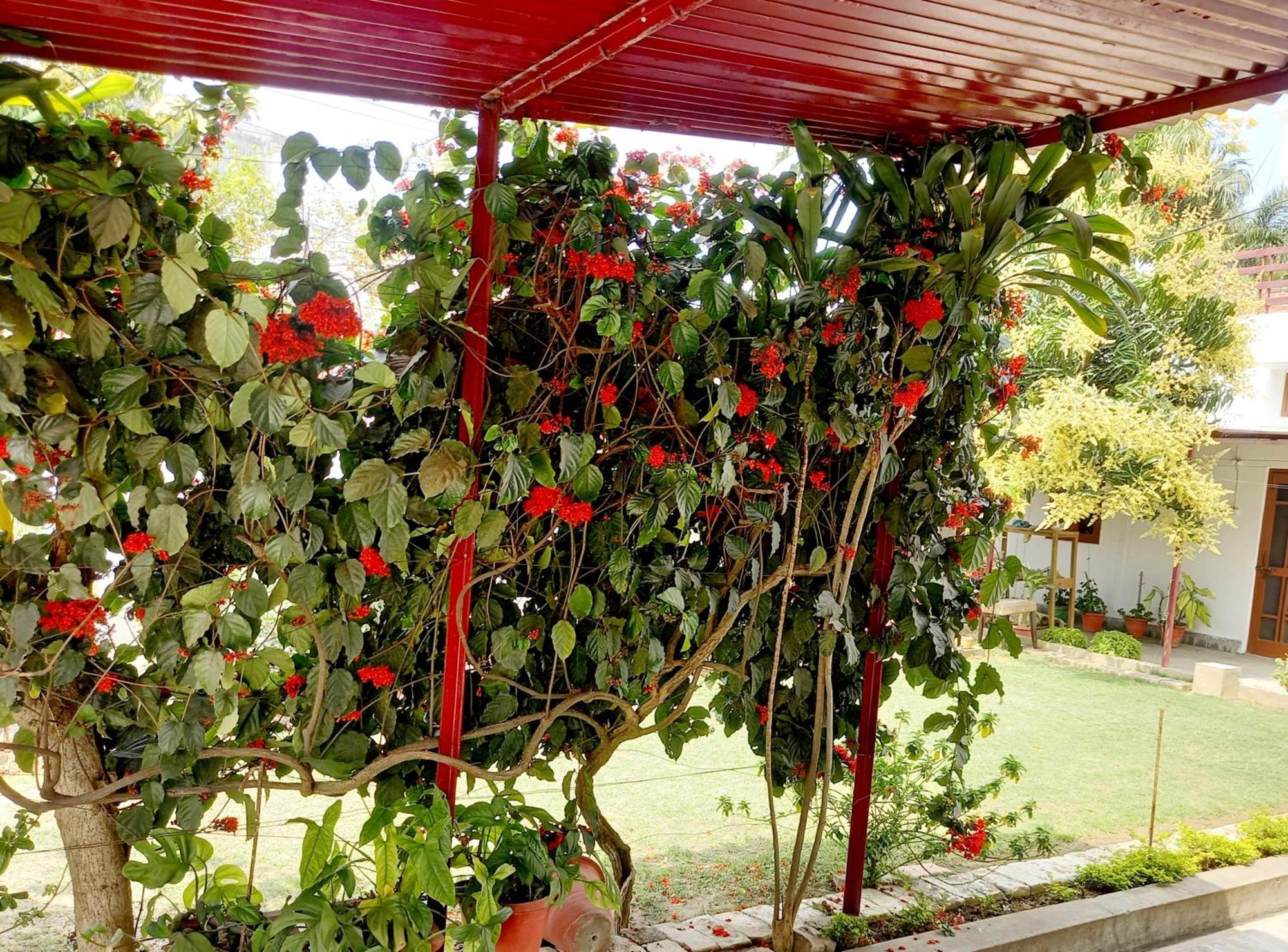 Garden View Residency Lucknow Exterior foto